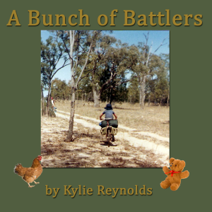 A Bunch of Battlers
