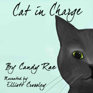 Cat in Charge