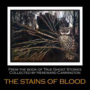 The Stains of Blood