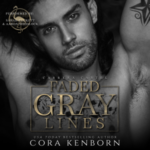Faded Gray Lines