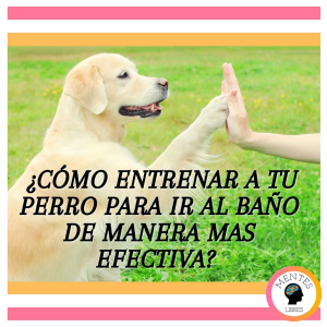 ¿Cómo Entrenar A Tu Perro Para Ir Al Baño De Manera Mas Efectiva?-logo