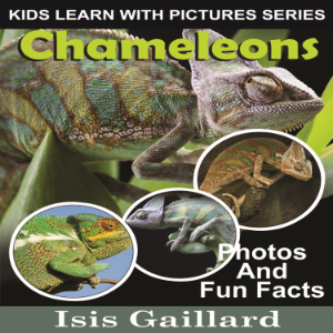 Chameleons-logo