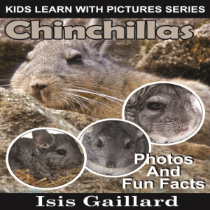 Chinchillas-logo
