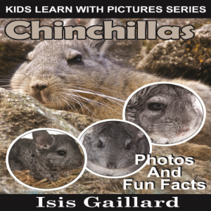 Chinchillas