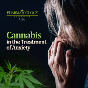 Cannabis in the Treatment of Anxiety-logo