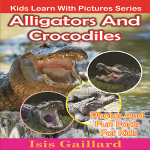 Alligators and Crocodiles