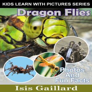 Dragon Flies-logo