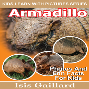 Armadillo-logo