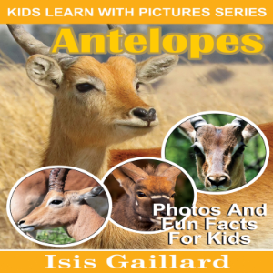 Antelopes