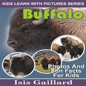 Buffalo-logo
