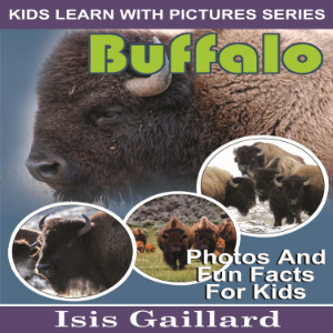 Buffalo