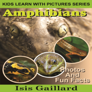 Amphibians