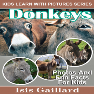Donkeys-logo