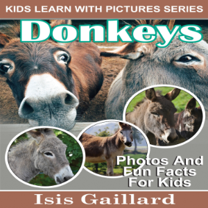 Donkeys