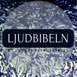 NT | Andra Petrusbrevet