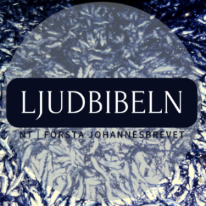 NT | Första Johannesbrevet
