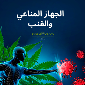 جهاز المناعة والقنب