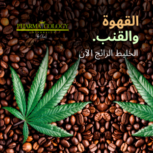 القهوة والقنب. الخليط الرائج الآن