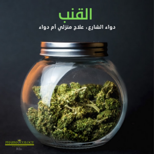 القنب. دواء الشارع، علاج منزلي أم دواء؟