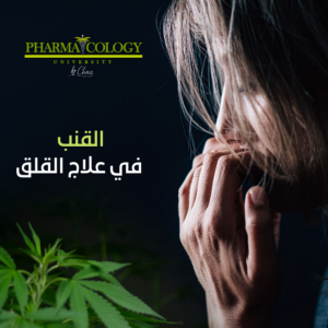 القنب في علاج القلق