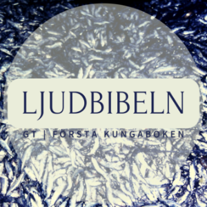 GT | Första Kungaboken