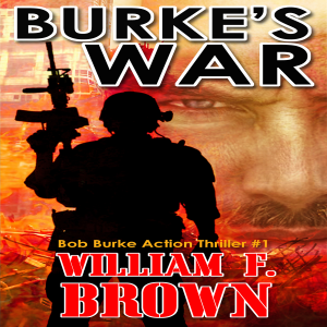 Burke's War