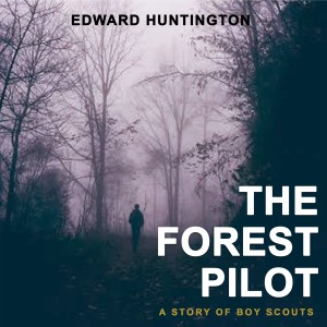 The Forest Pilot