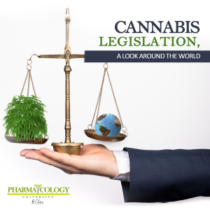 Cannabis legislation, a look around the world-logo