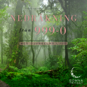 Nedräkning från 999-0: Djungelns ljud