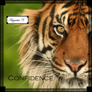 Confidence