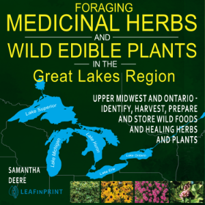 Foraging Medicinal Herbs and Wild Edible Plants in the Great Lakes Region-logo