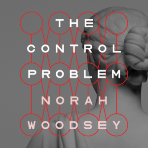The Control Problem