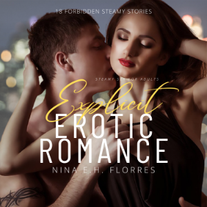 Explicit Erotic Romance
