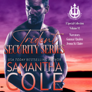 Trident Security Series: A Special Collection: Volume VI
