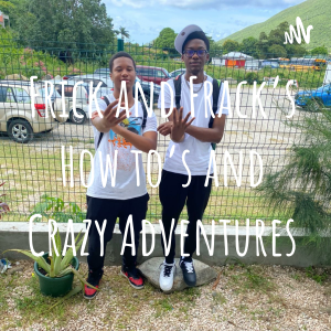 Frick and Frack's How to's and Crazy Adventures-logo