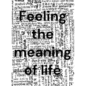 Feeling the meaning of life-logo