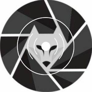 awanderingsky / skyrockstudio-logo