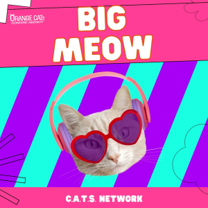 Big Meow-logo