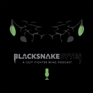 Blacksnake Bytes-logo