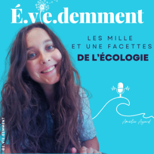 E.vie.demment-logo