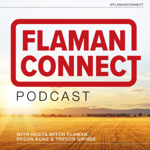 Flaman Connect-logo