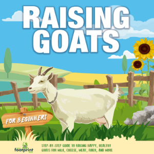 Raising Goats For Beginners