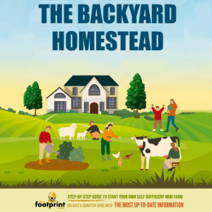 The Backyard Homestead