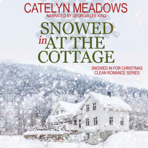 Snowed In at the Cottage