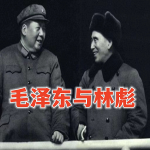 毛泽东与林彪|神秘又耐人寻味的关系(全免费)-logo