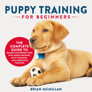 Puppy Training for Beginners