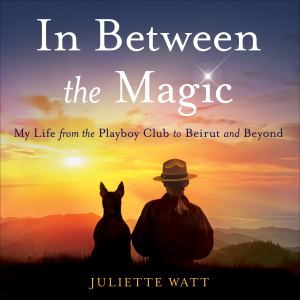 In Between the Magic-logo