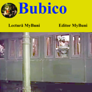 Bubico