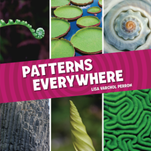 Patterns Everywhere-logo