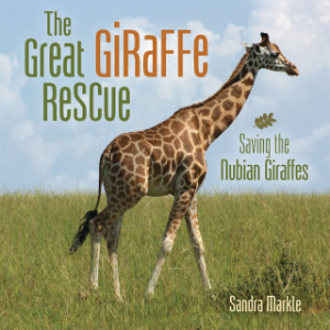 The Great Giraffe Rescue